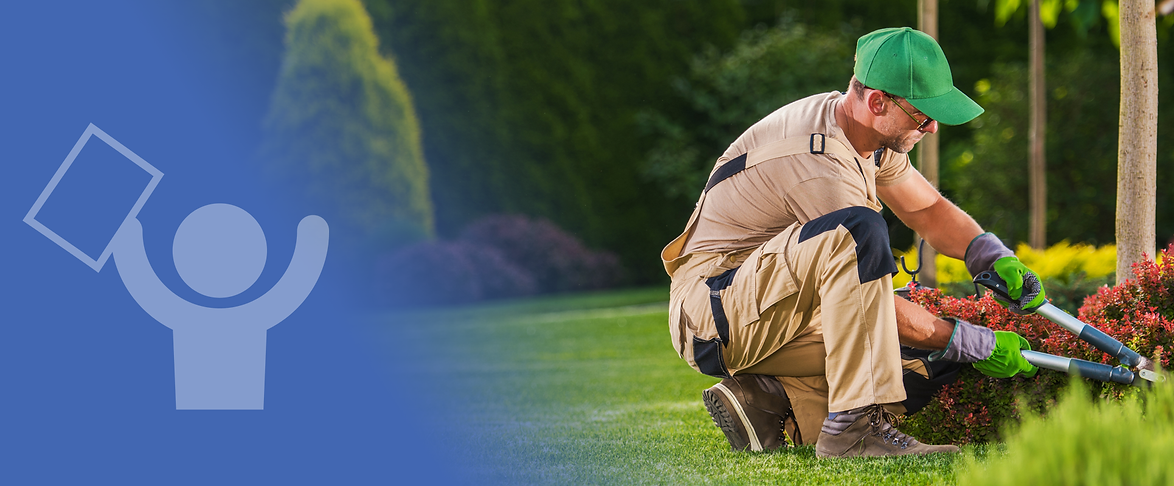 Lawn-Care.png