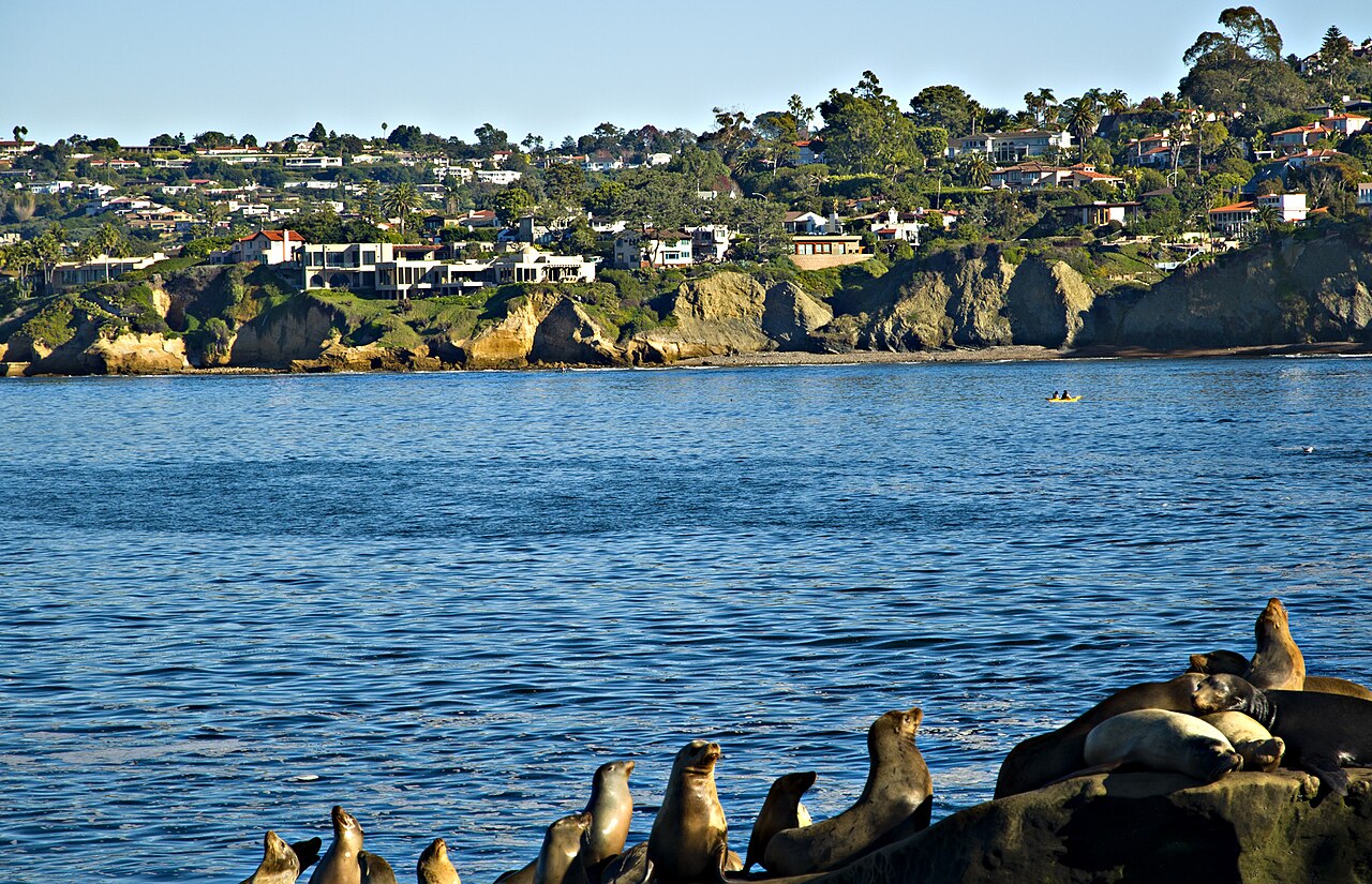 View of San Diego, California, a MarketAnywhere flyer distribution and door hanger delivery service area